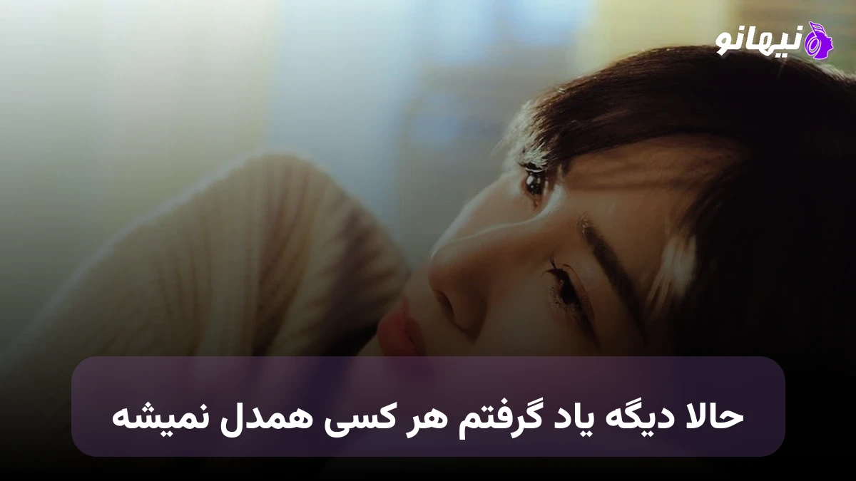 دانلود آهنگ حالا دیگه یاد گرفتم هر کسی همدل نمیشه 